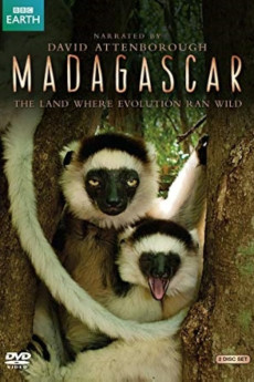 Madagascar (2011)