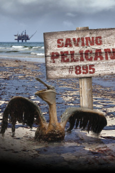 Saving Pelican 895 (2011)