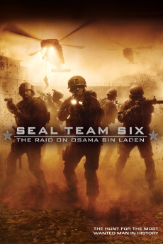 Seal Team Six: The Raid on Osama Bin Laden (2012) (2012) download