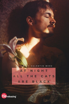 At Night All the Cats Are Black (2022)