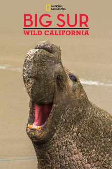 National Geographic Explorer Big Sur-Wild California (2010)