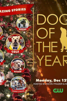 Dogs of the Year 2022 (2022)