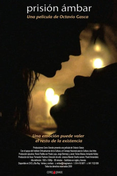 Prisión Ambar (2009)