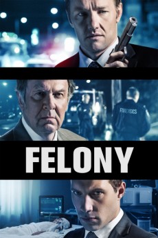 Felony (2013) (2013) download