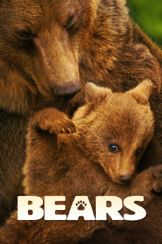 Bears (2014) (2014) download