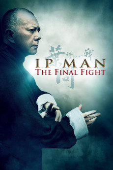 Ip Man: The Final Fight (2013) (2013) download
