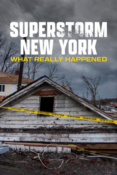 Superstorm New York: What Really Happened (2012) (2012) download