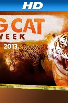 Big Cat Week Big Cat Games (2015)