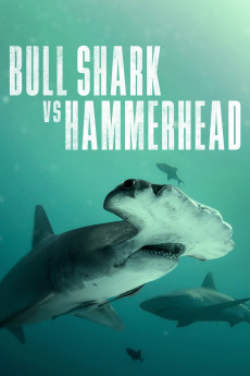Bull Shark vs Hammerhead (2023) (2023) download