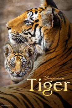 Tiger (2024) (2024) download