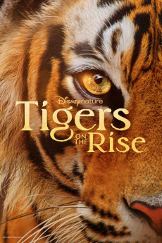 Tigers on the Rise (2024) (2024) download