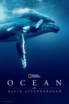 Ocean with David Attenborough (2025) (2025) download
