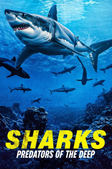 Sharks: Predators of the Deep (2024) (2024) download