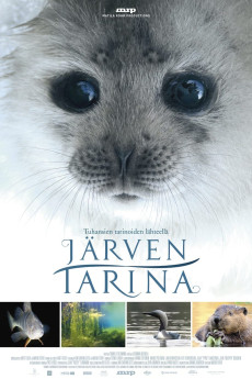 Tale of a Lake (2016) (2016) download