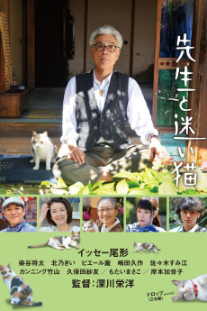Teacher and Stray Cat (2015) (2015) download