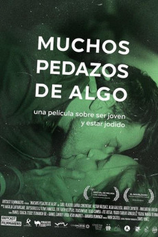 Muchos pedazos de algo (2015)
