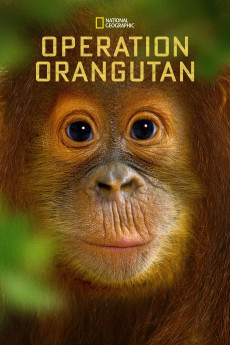 National Geographic Specials Operation Orangutan (2015)