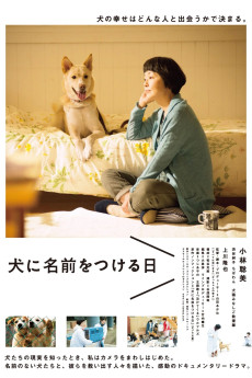 Dogs Without Names (2015)