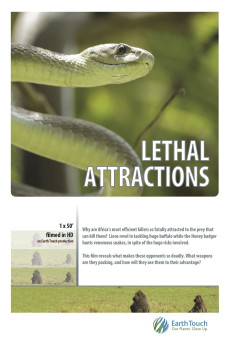 Lethal Attractions (2014)