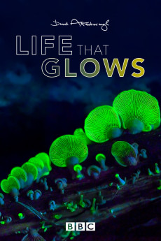 Attenborough's Life That Glows (2016) (2016) download