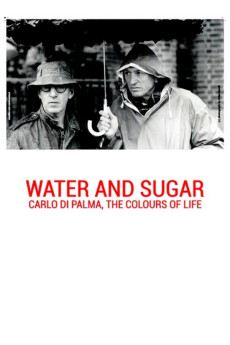 Water and Sugar (2016)