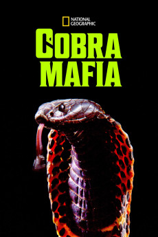 Cobra Mafia (2015) (2015) download