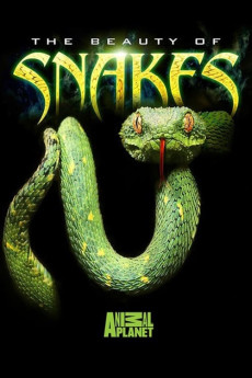 Beauty of Snakes (2003) (2003) download