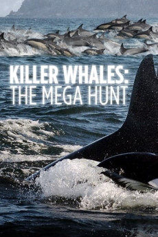 Killer Whales: The Mega Hunt (2016)