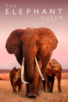 The Elephant Queen (2018) (2018) download