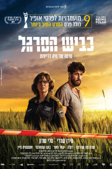 Highway 65 (2024)