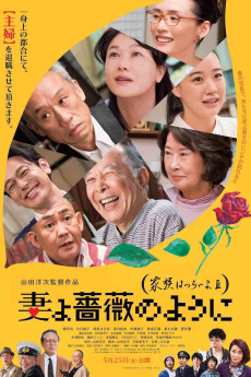 What a Wonderful Family! 3: My Wife, My Life (2018)