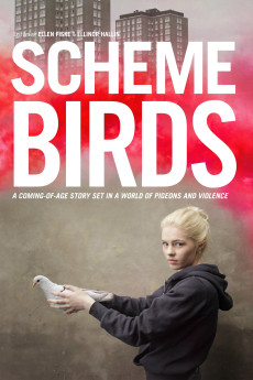 Scheme Birds (2019) (2019) download