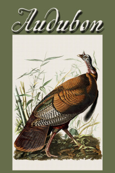 Audubon (2017) (2017) download