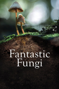 Fantastic Fungi (2019) (2019) download