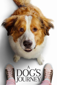 A Dog's Journey (2019) (2019) download
