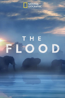The Flood (2018) (2018) download
