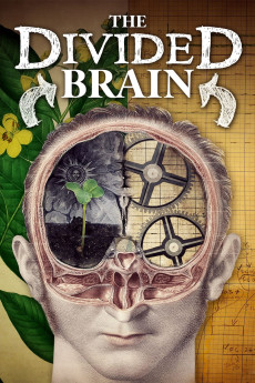 The Divided Brain (2019) (2019) download