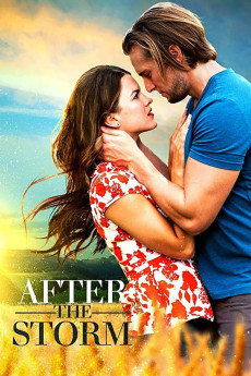 After the Storm (2019) (2019) download