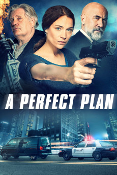 A Perfect Plan (2020) (2020) download