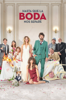 The Wedding Unplanner (2020) (2020) download