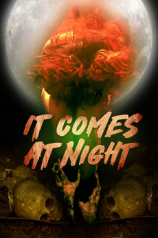 In the Light of the Night (2020)